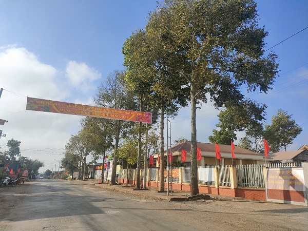 ANH TET 12